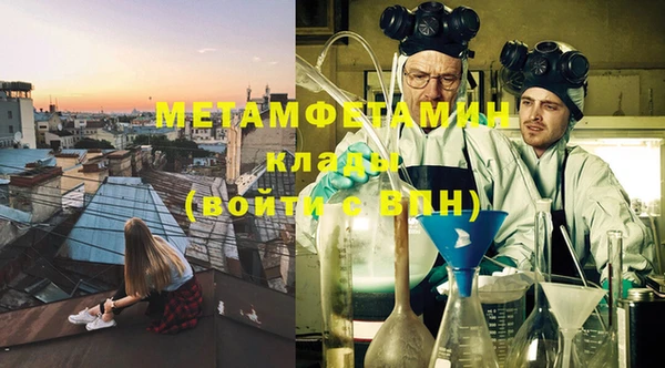 прущие грибы Бородино