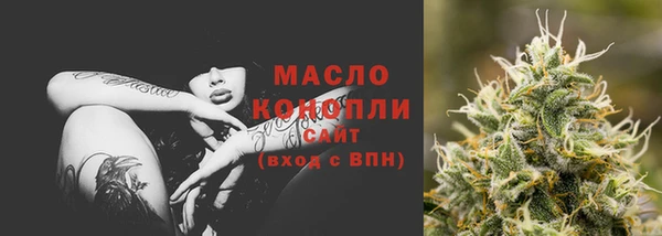 дмт Богородицк