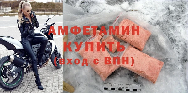 прущие грибы Бородино