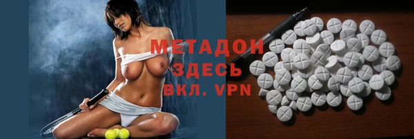 прущие грибы Бородино