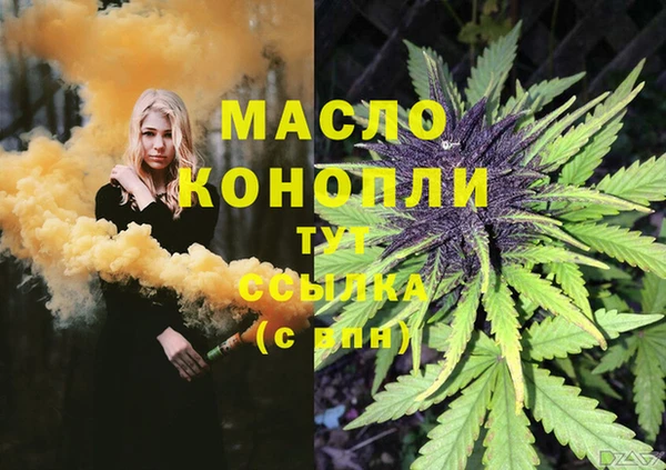 прущие грибы Бородино