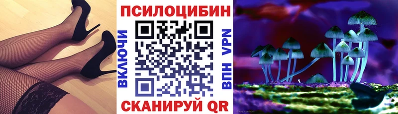 Галлюциногенные грибы MAGIC MUSHROOMS  купить  цена  KRAKEN зеркало  Кирс 